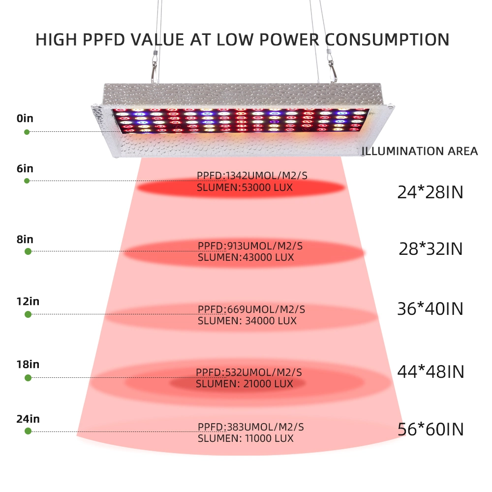 1000W Hydroponic LED Grow Light for Vertical Grow