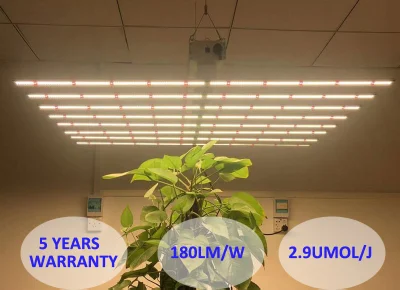 문어 상업용 수직 농업 의료 식물 전체 스펙트럼 640W 바 Spydr LED 성장 빛